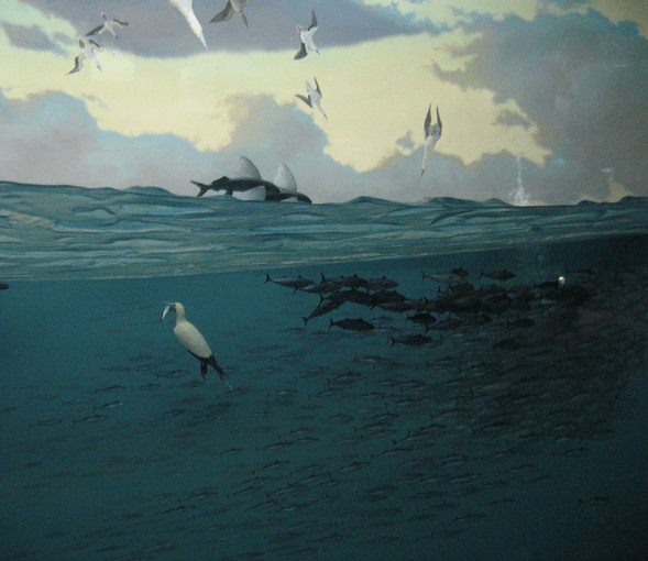 NY natural history museum diorama